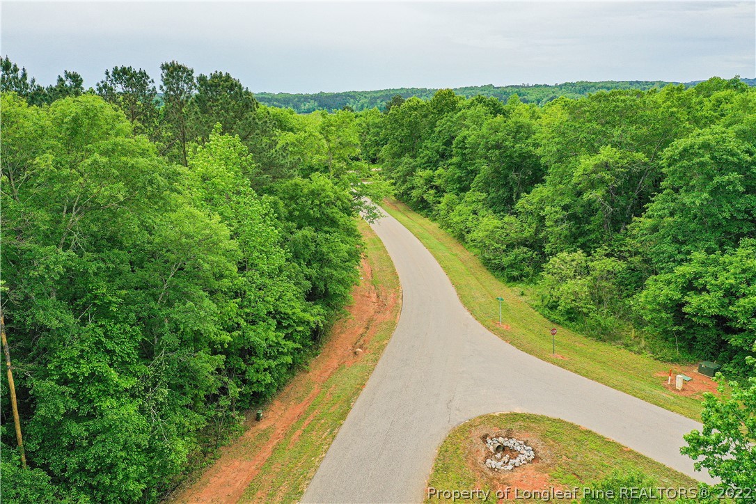 Lot 182 Vista Lane Rockingham, NC 28379 - Photo 8 of 9
