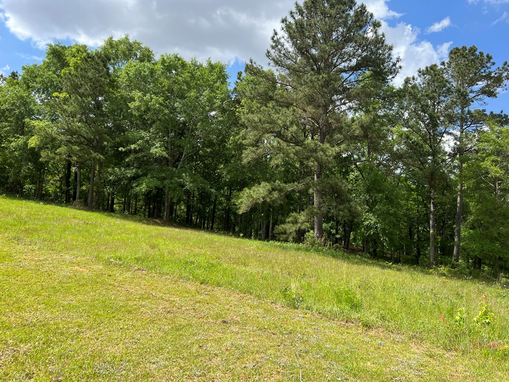 Lot 30 Ridge Drive Headland, AL 36345 - Photo 3 of 5