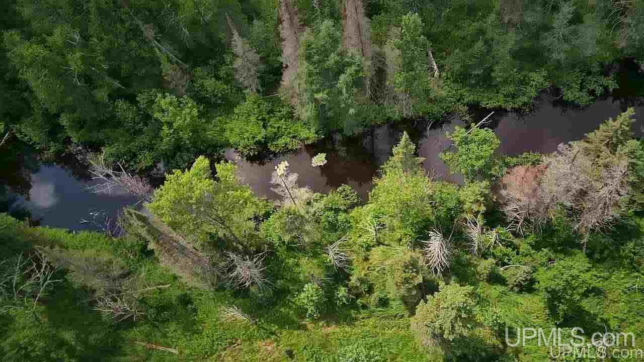 Tbd Off Nowack Road, Unit 1 Powers, MI 49874 - Photo 10 of 32