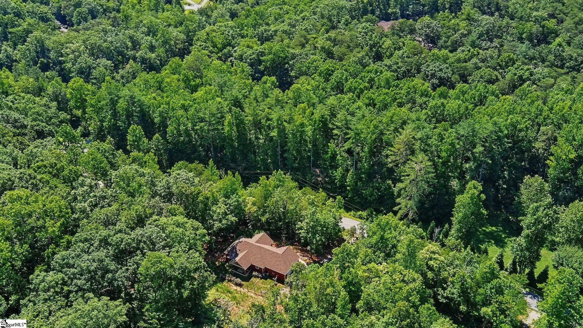1241 Hayes Road Columbus, NC 28722 - Photo 30 of 31