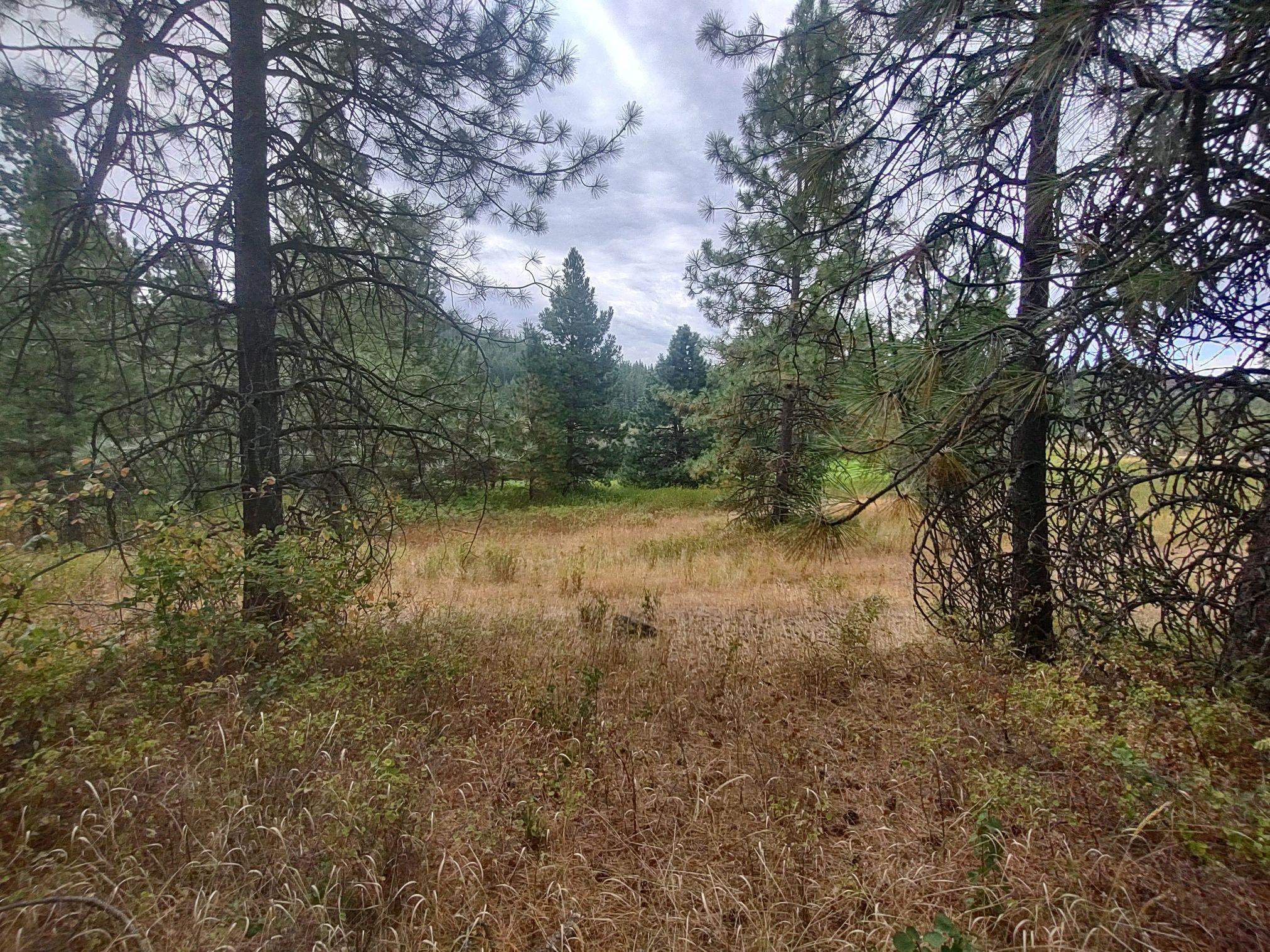 Xx Little Sweden Road, Unit LOT D Valley, WA 99181 - Photo 3 of 9 Gallery Image 3