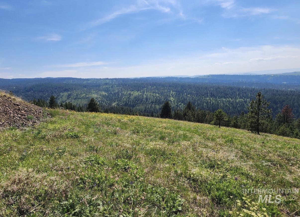 Lot 91 Pilgrim Ridge Road White Bird, ID 83554 - Photo 30 of 35