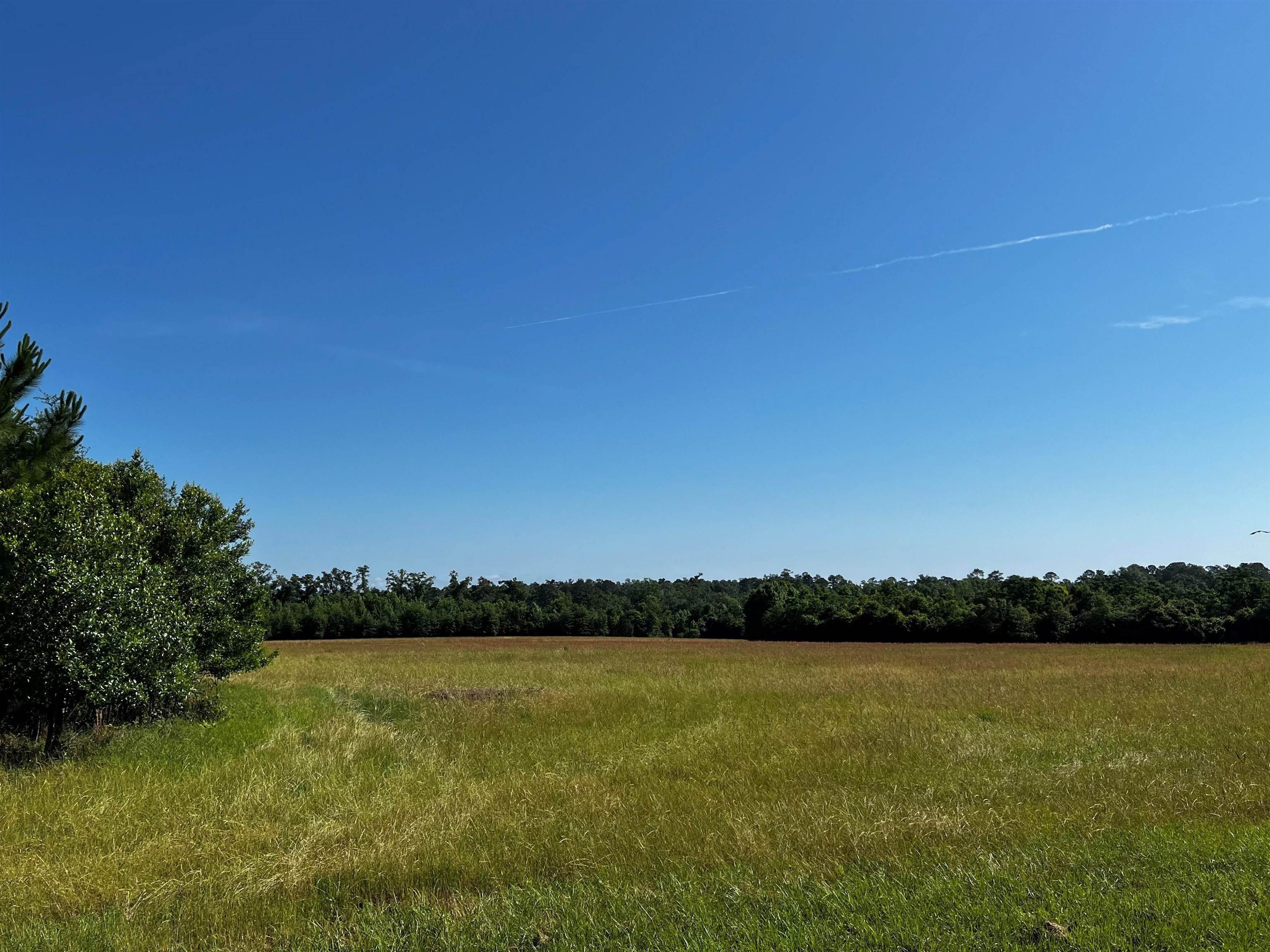 Xxxxx Luten Road Quincy, FL 32352 - Photo 14 of 20 Gallery Image 14