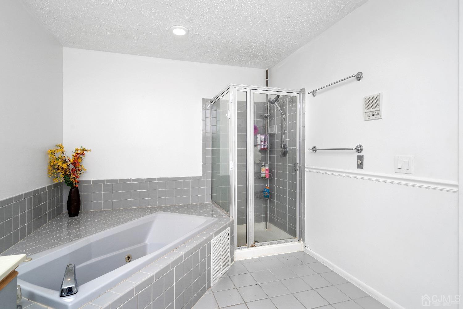 231 Nebula Road Piscataway, NJ 08854 - Photo 19 of 37 a bathroom with a tub a potted plant and a shower