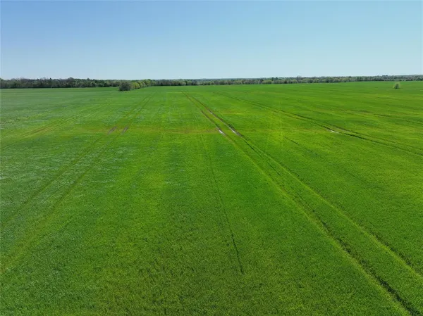 $428,608 | 1 County Road 26850, Honey Grove, TX 75446