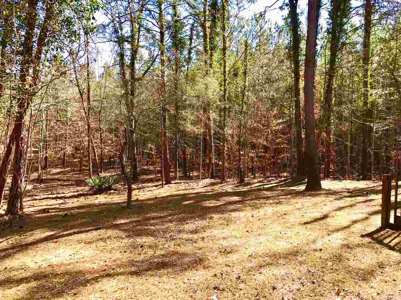 6916 Matthews Road Durham, NC 27712 - Photo 20 of 24 Perfect Partial Clearing
