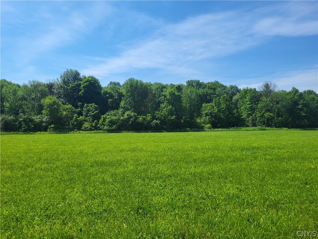 Lot 2 Co Route Watertown, NY 13601 - Photo 3 of 7 Gallery Image 3