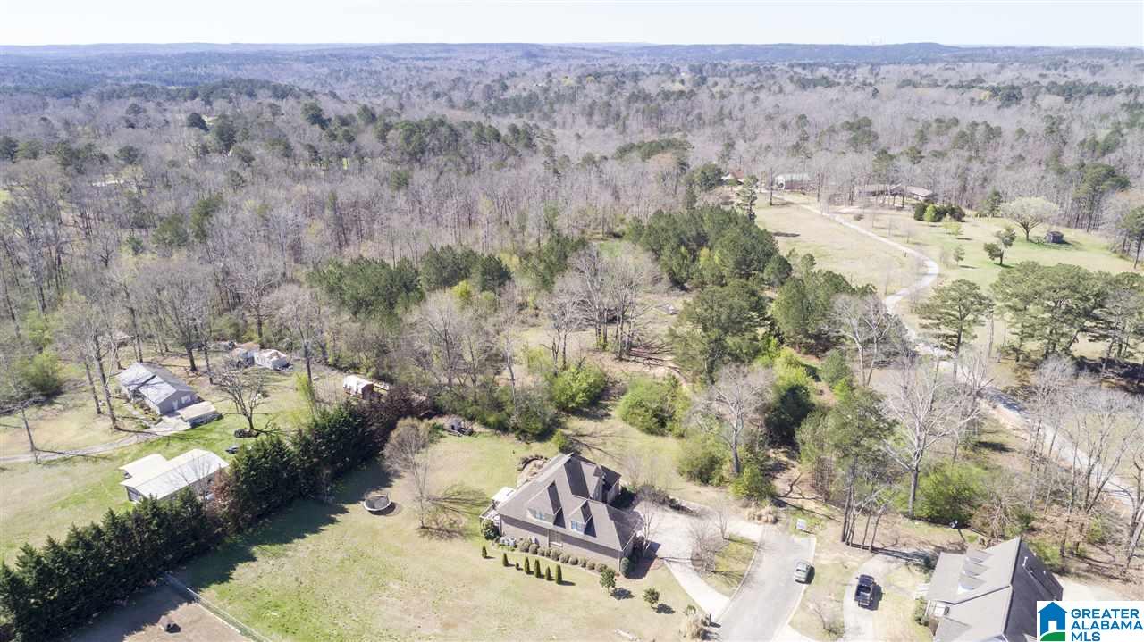850 Rosemary Way Mount Olive, AL 35117 - Photo 1 of 12