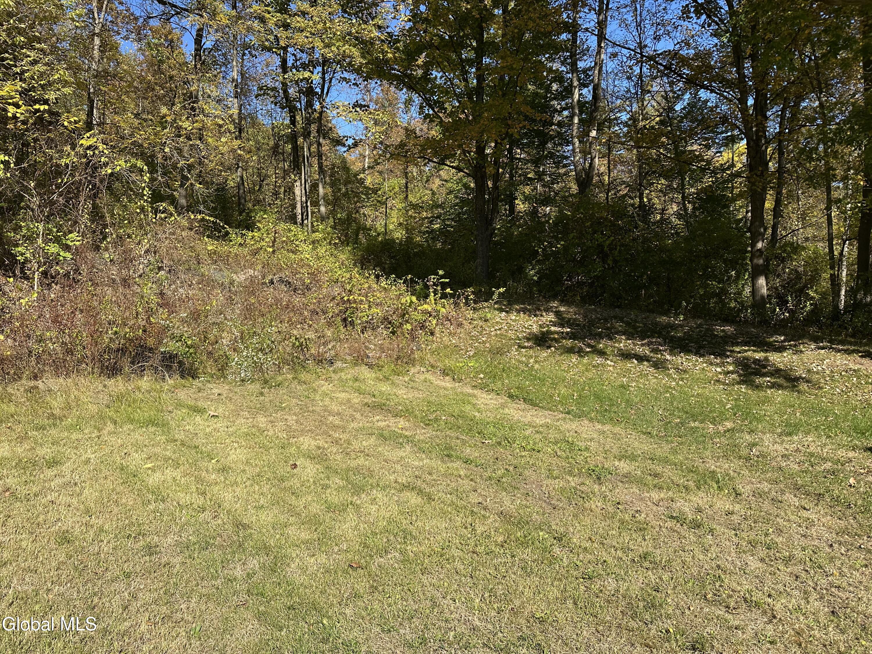 273 Gansevoort Road Moreau, NY 12831 - Photo 19 of 20 IMG_8832