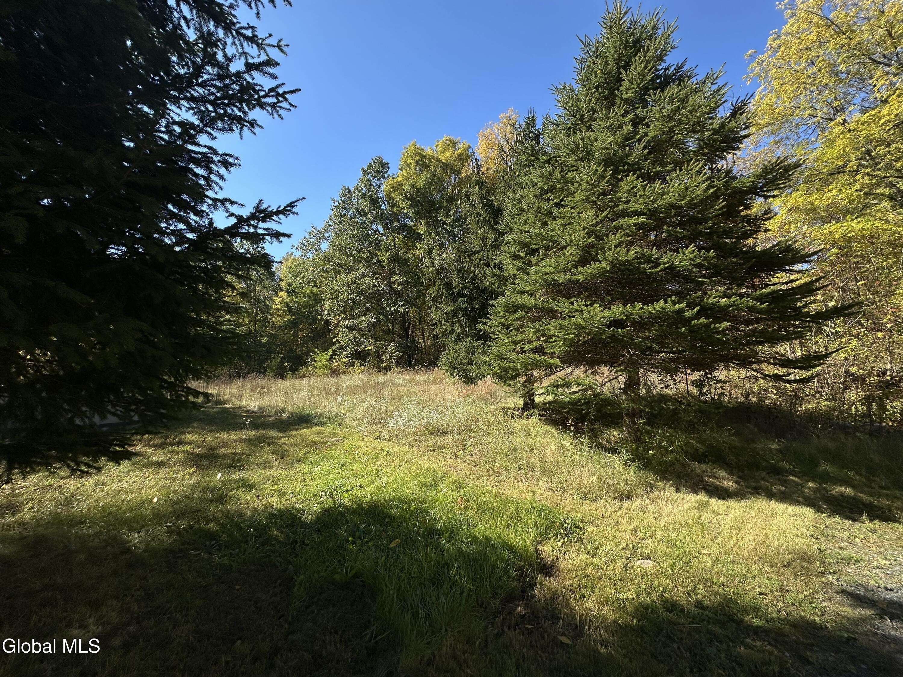 273 Gansevoort Road Moreau, NY 12831 - Photo 20 of 20 IMG_8831