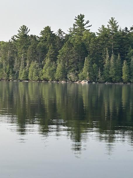 114 Plunkett Pond Road Benedicta, ME 04733 - Photo 12 of 53 20