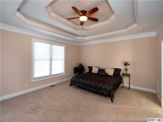 770 Cooks Cove Ridge Clover, SC 29710 - Photo 10 of 15