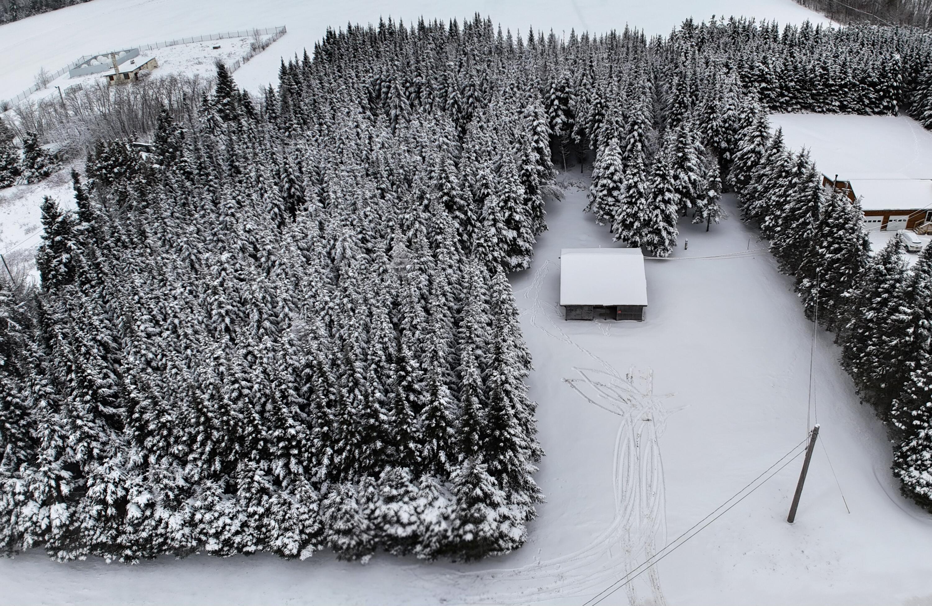 929 Access Highway Limestone, ME 04750 - Photo 4 of 19 dji_fly_20260101_144218_0157_17673001820
