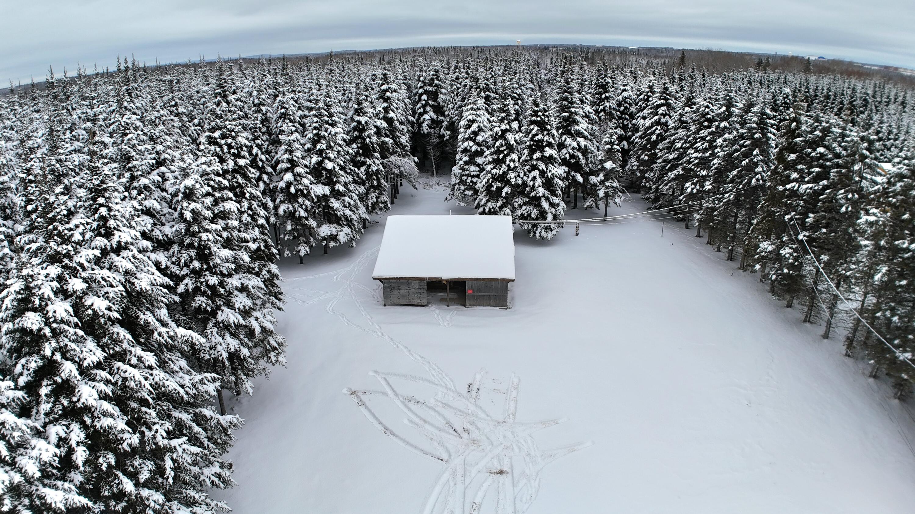 929 Access Highway Limestone, ME 04750 - Photo 5 of 19 dji_fly_20260101_144118_0142_17673001868