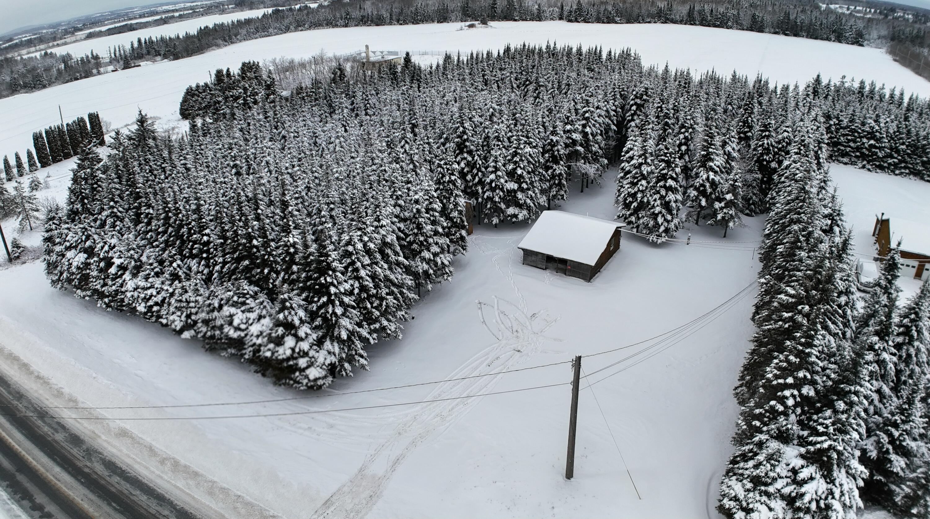 929 Access Highway Limestone, ME 04750 - Photo 6 of 19 dji_fly_20260101_144158_0152_17673001843