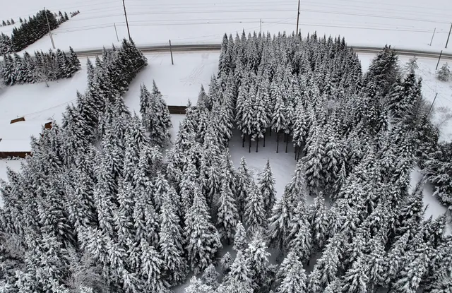 $65,000 | 929 Access Highway, Limestone, ME 04750