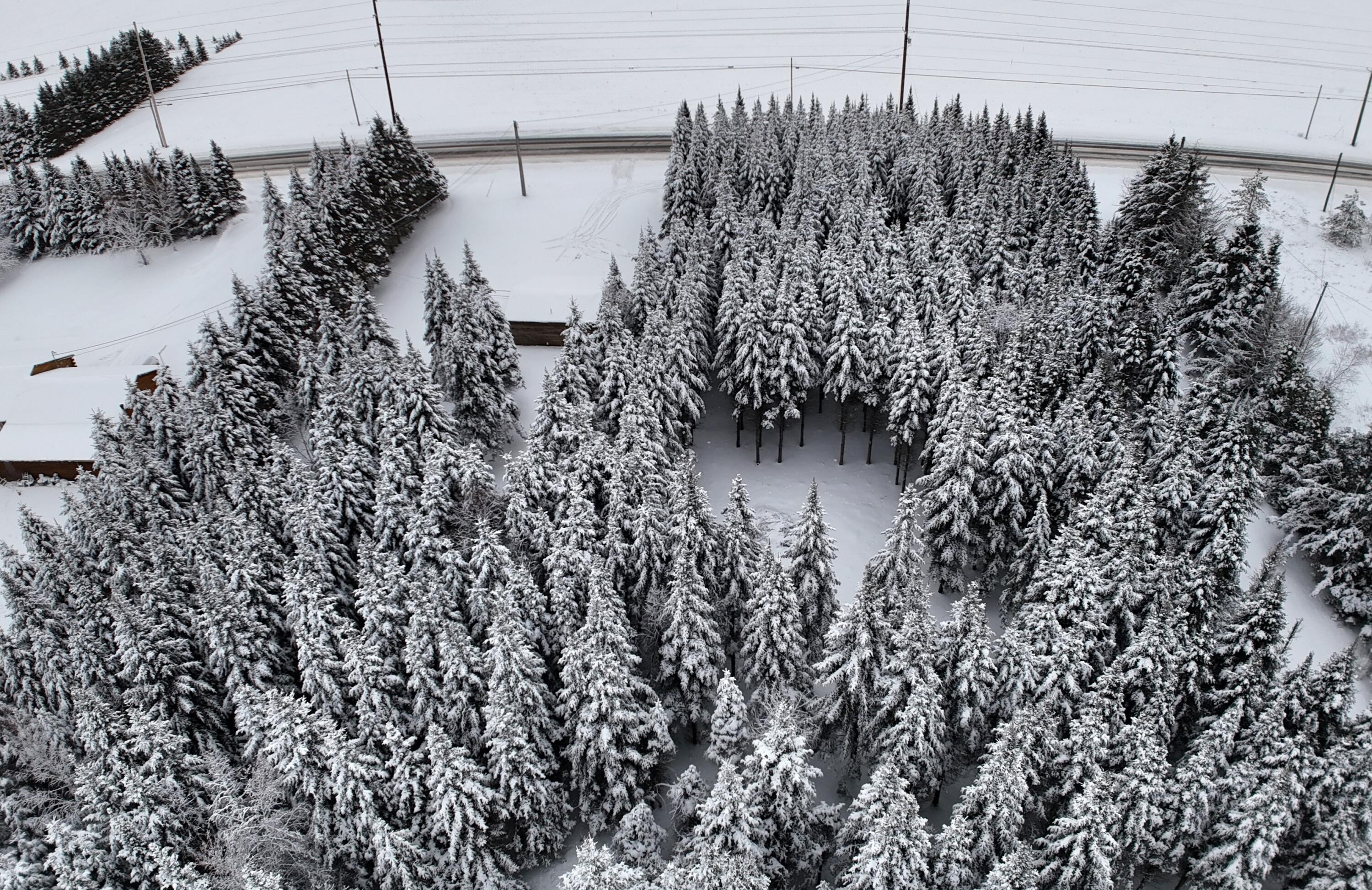 929 Access Highway Limestone, ME 04750 - Photo 7 of 19 dji_fly_20260101_144514_0185_17673001735