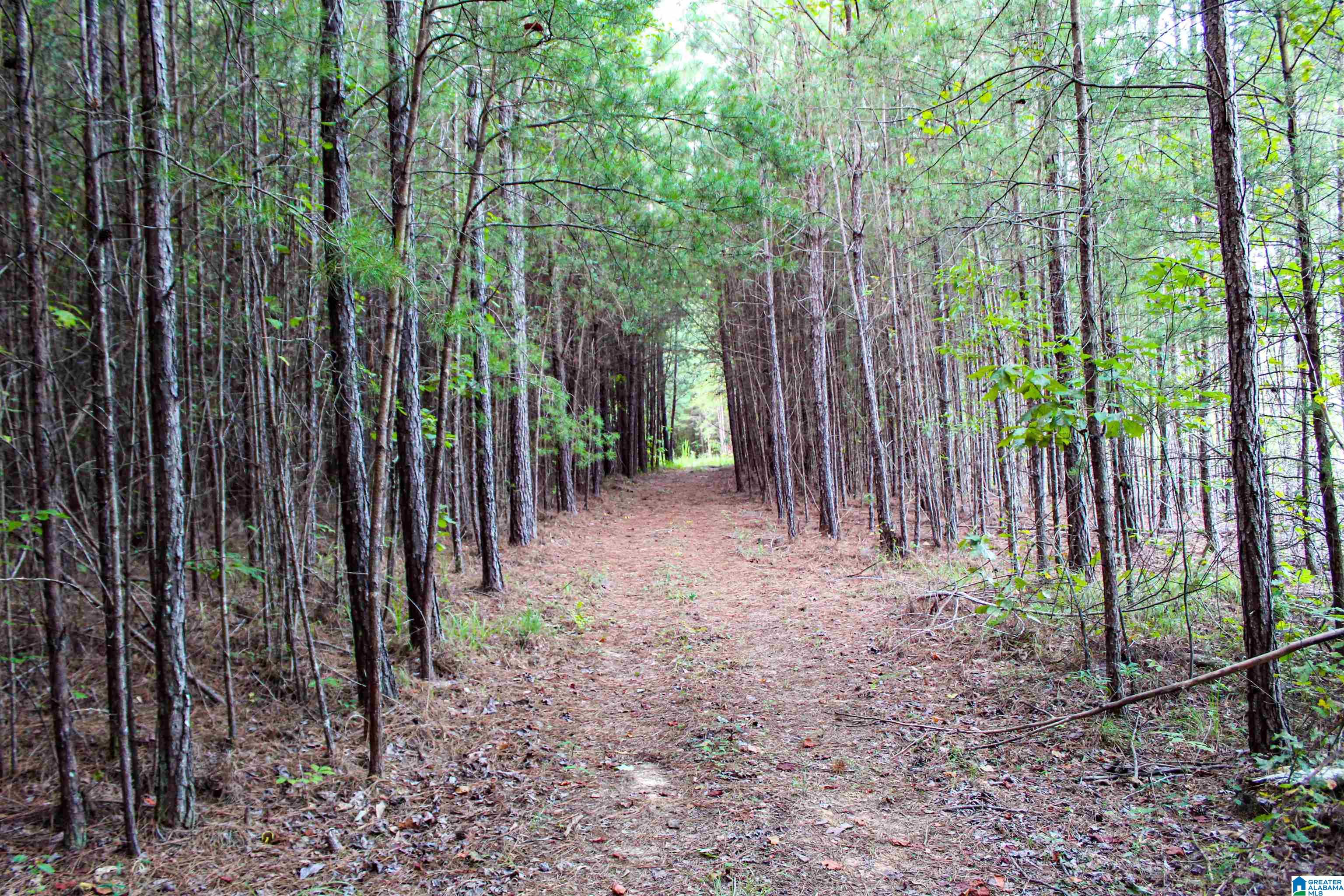 Bonner Drive, Unit 1 Berry, AL 35546 - Photo 44 of 56