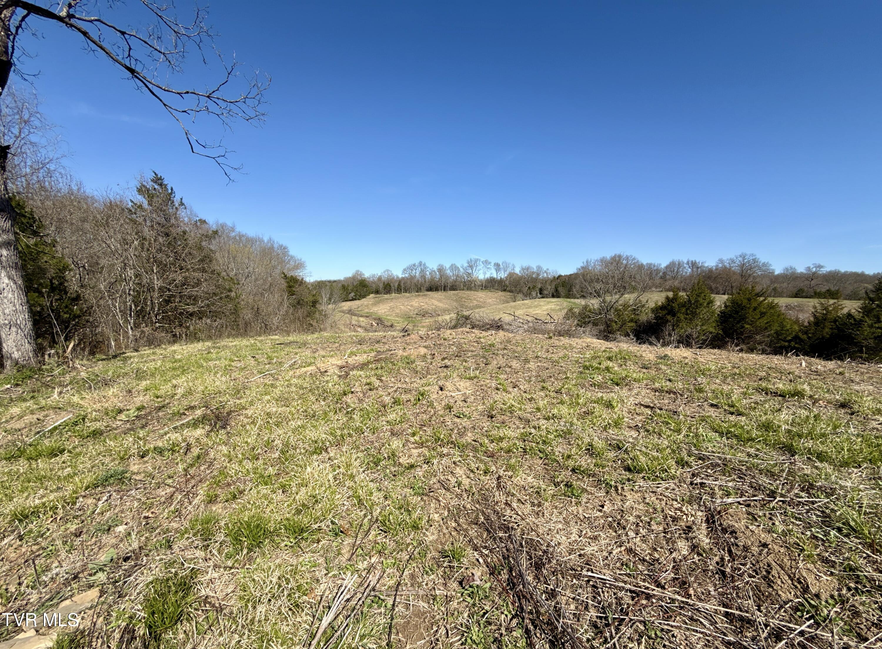 12315 Warrensburg Road Midway, TN 37809 - Photo 88 of 106 _Pic87