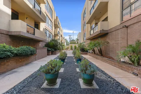 a view of a pathway with a garden