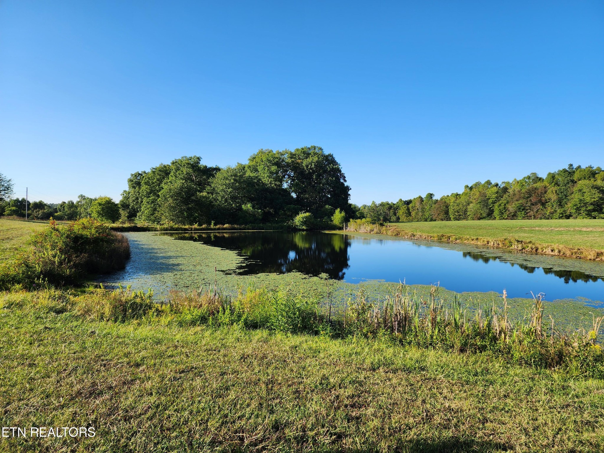 199 Carson Pugh Road Crossville, TN 38571 - Photo 20 of 58 a view of lake with houses in the back