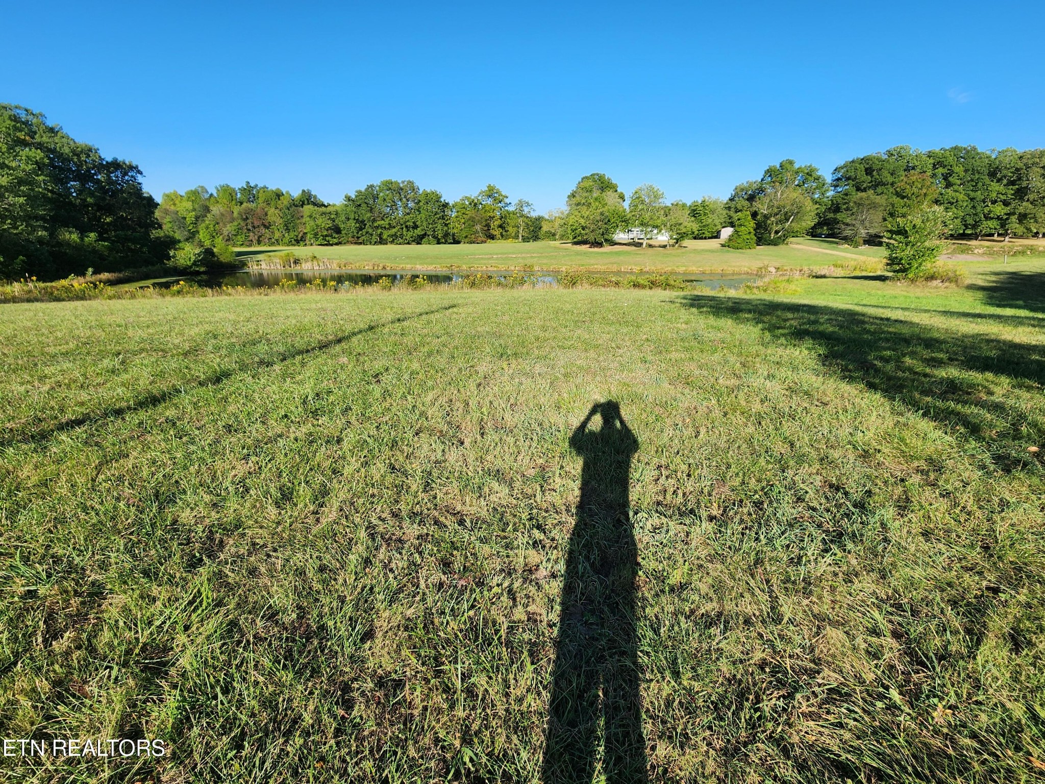 199 Carson Pugh Road Crossville, TN 38571 - Photo 21 of 58 a view of a garden with a lake