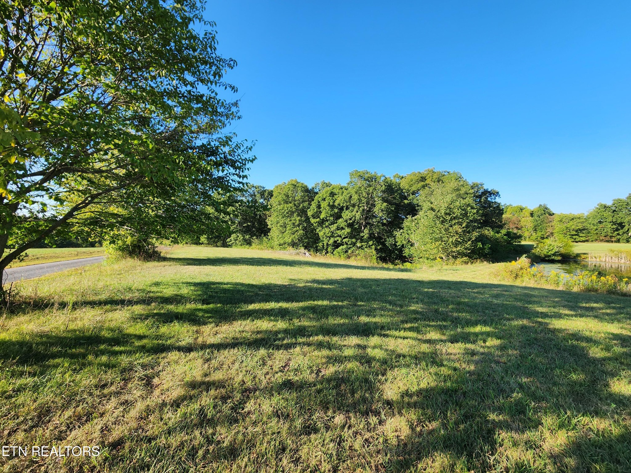 199 Carson Pugh Road Crossville, TN 38571 - Photo 22 of 58 a view of outdoor space with trees all around