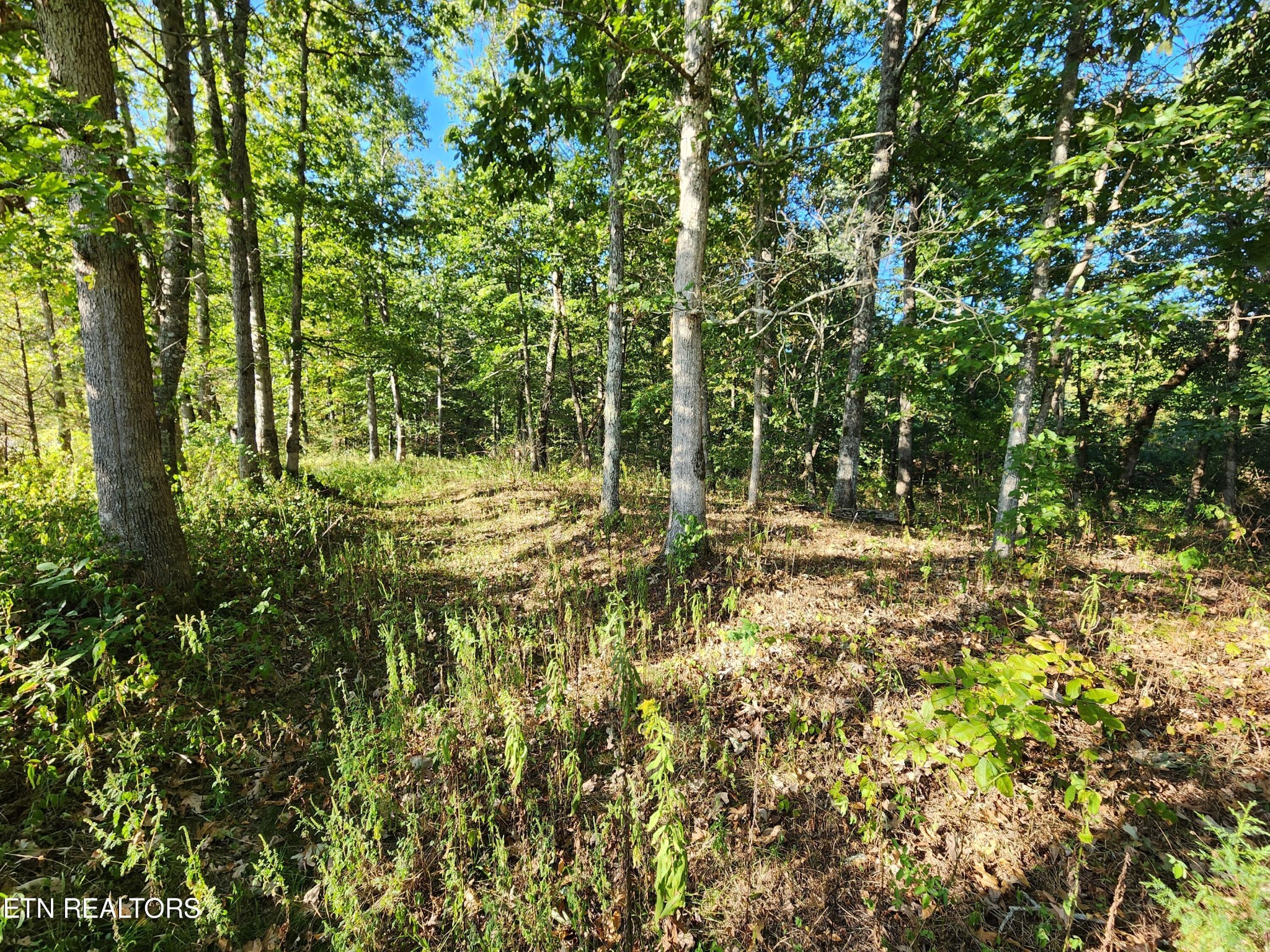 199 Carson Pugh Road Crossville, TN 38571 - Photo 23 of 58 a view of outdoor space and yard