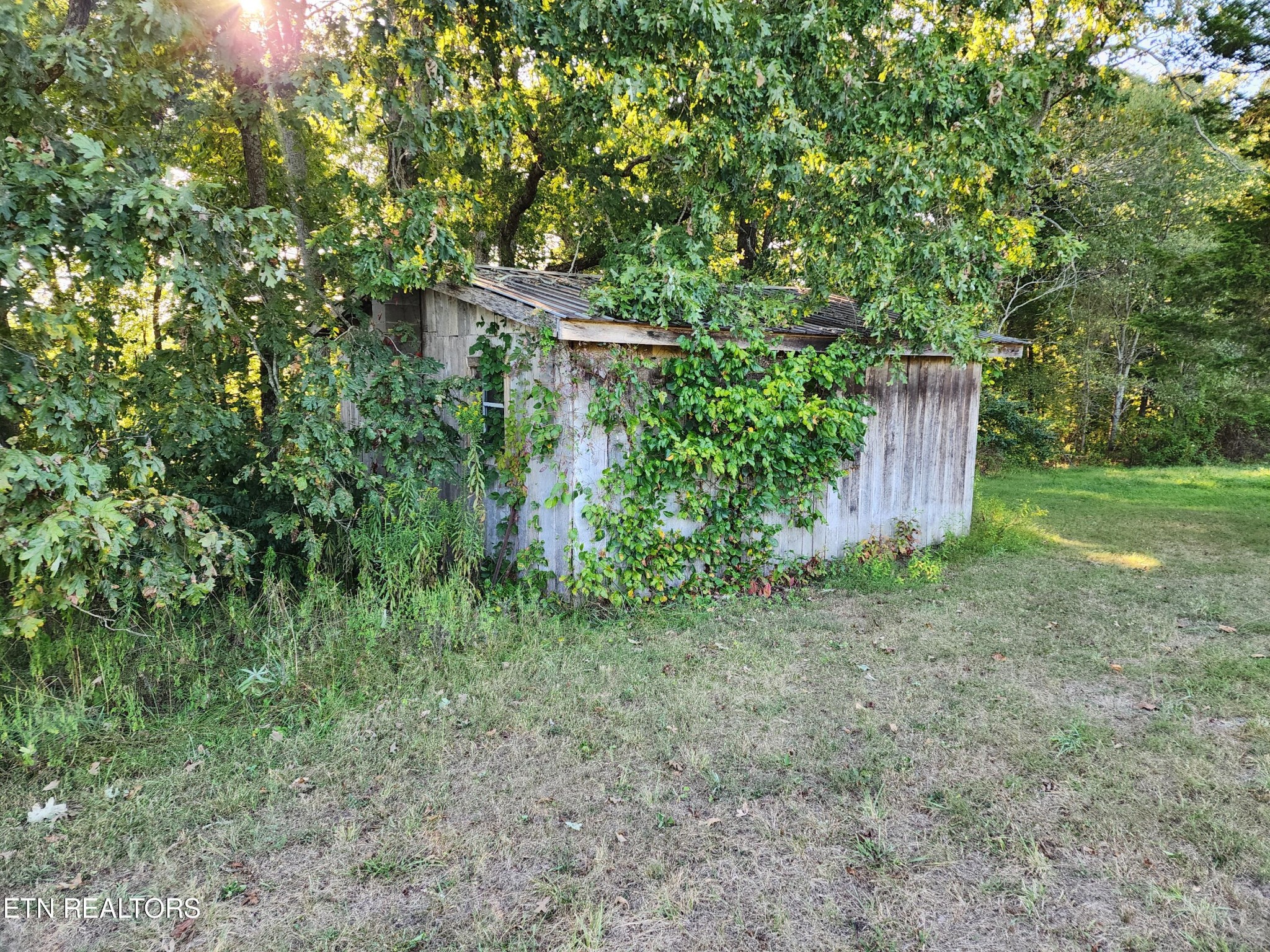 199 Carson Pugh Road Crossville, TN 38571 - Photo 29 of 58 a backyard of a house with lots of green space