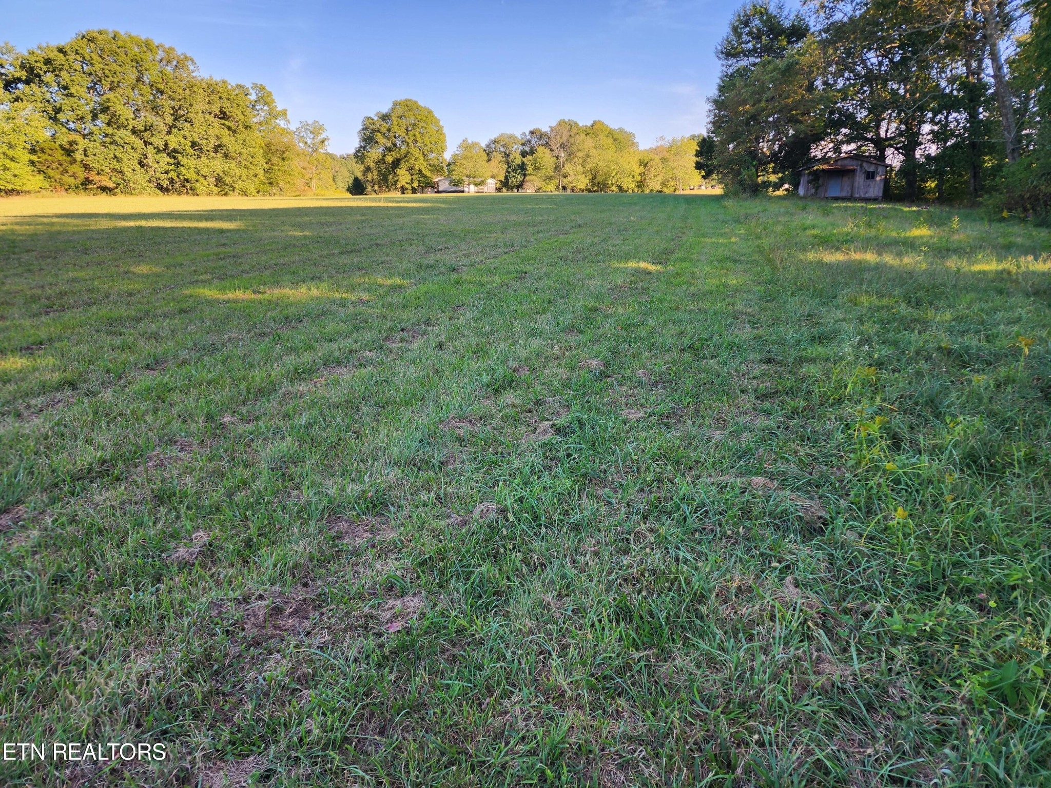 199 Carson Pugh Road Crossville, TN 38571 - Photo 31 of 58 a view of a field with a trees