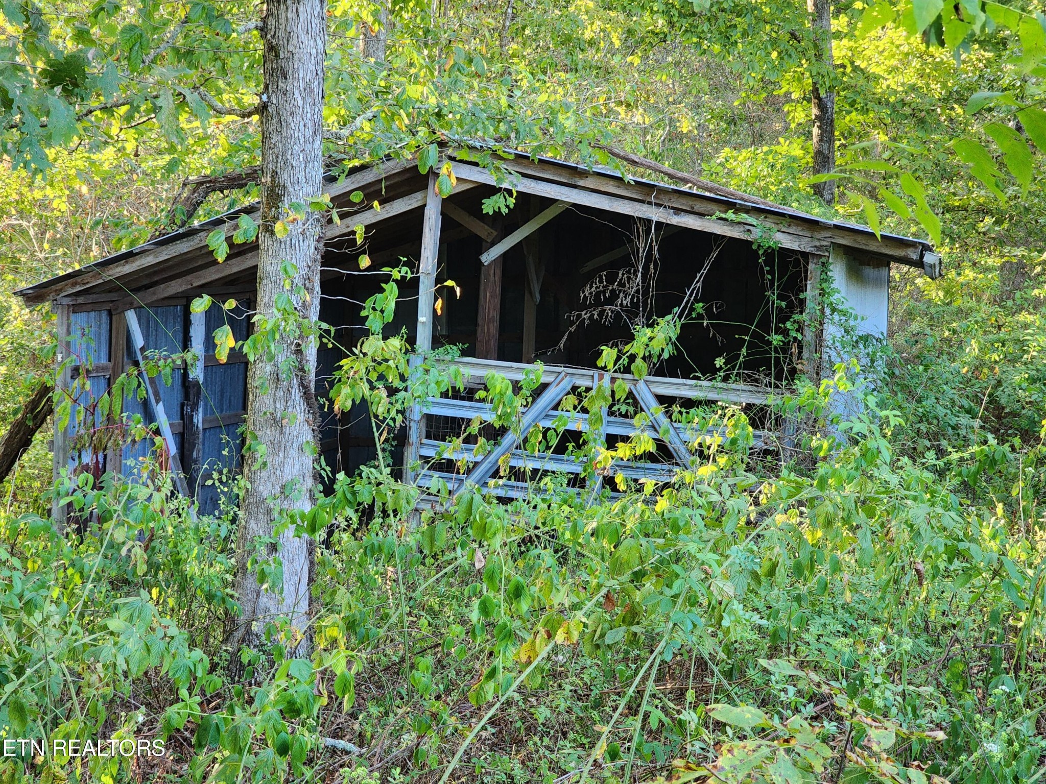 199 Carson Pugh Road Crossville, TN 38571 - Photo 35 of 58 a view of a house with wooden walls and potted plants