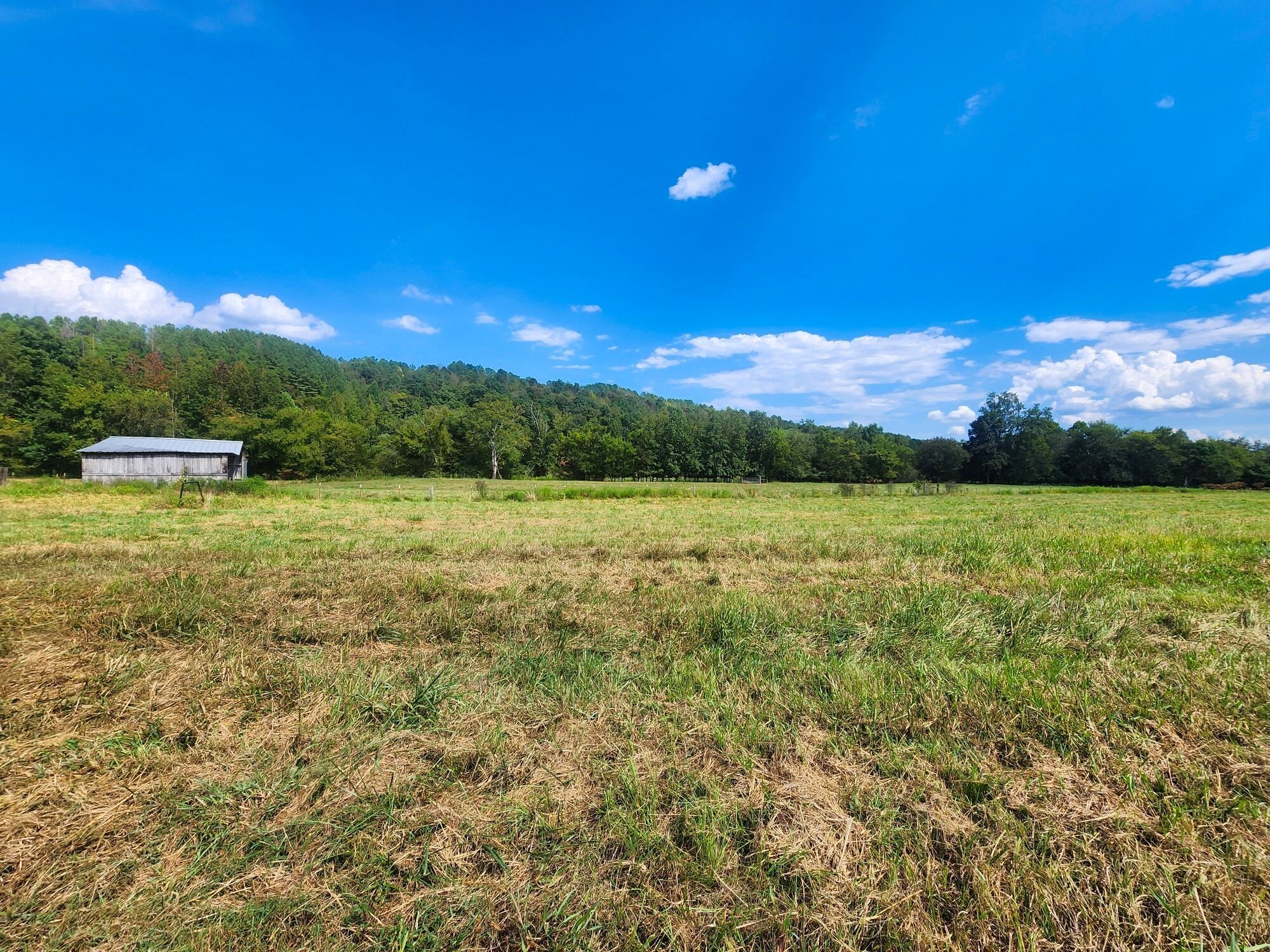 8312 Middle Butler Road Cypress Inn, TN 38452 - Photo 19 of 53 Gallery Image 19