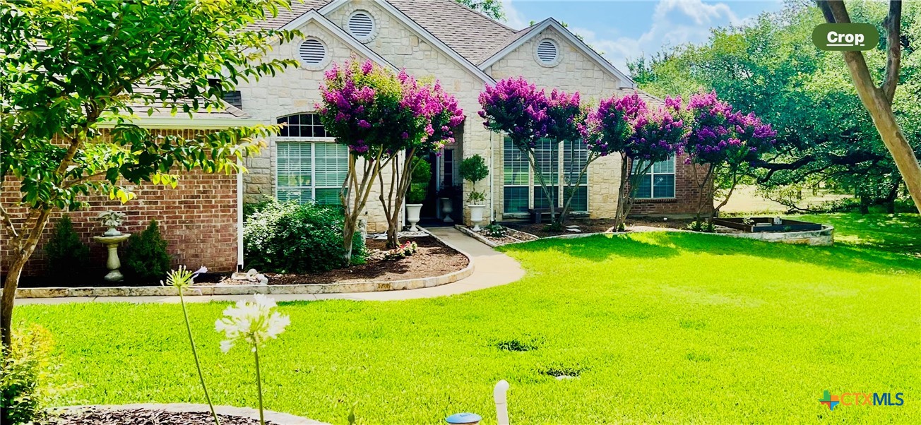 Front of home when crape myrtles are blooming