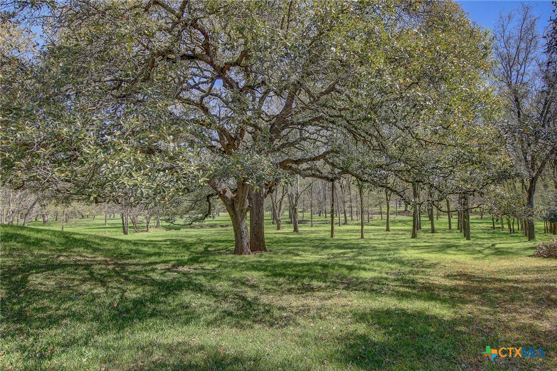 200 Carriage House Road Salado, TX 76571 - Photo 39 of 43 a big yard with lots of green space and trees in the back