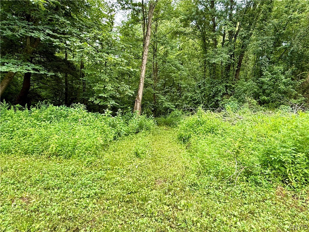 10329 Short Cut Road Cato, NY 13166 - Photo 10 of 17