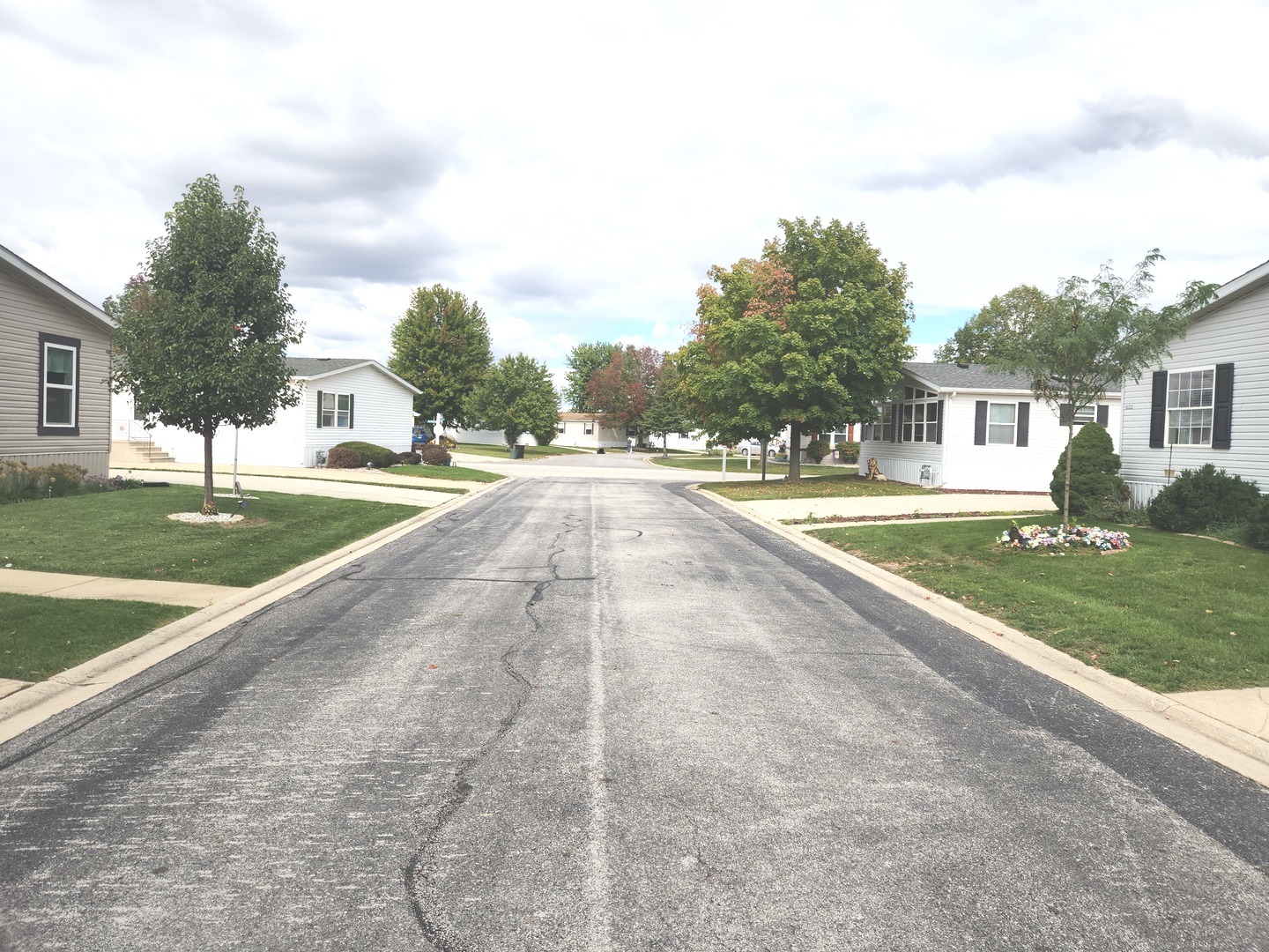 1027 Cherry Street Manteno, IL 60950 - Photo 19 of 20 a view of an house with backyard and bushes
