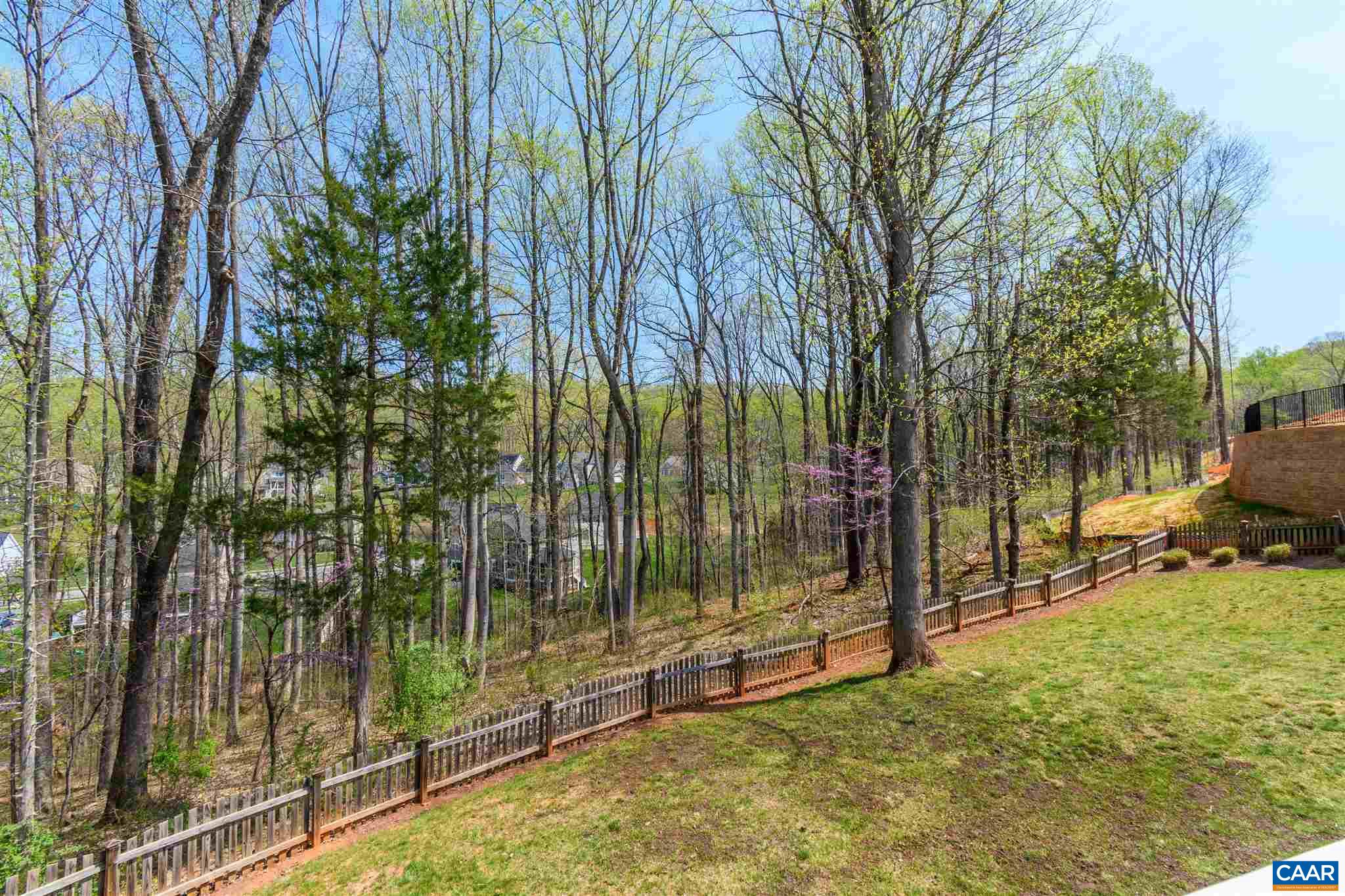 1979 Via Florence Road Charlottesville, VA 22911 - Photo 48 of 48 a view of backyard with tub and trees