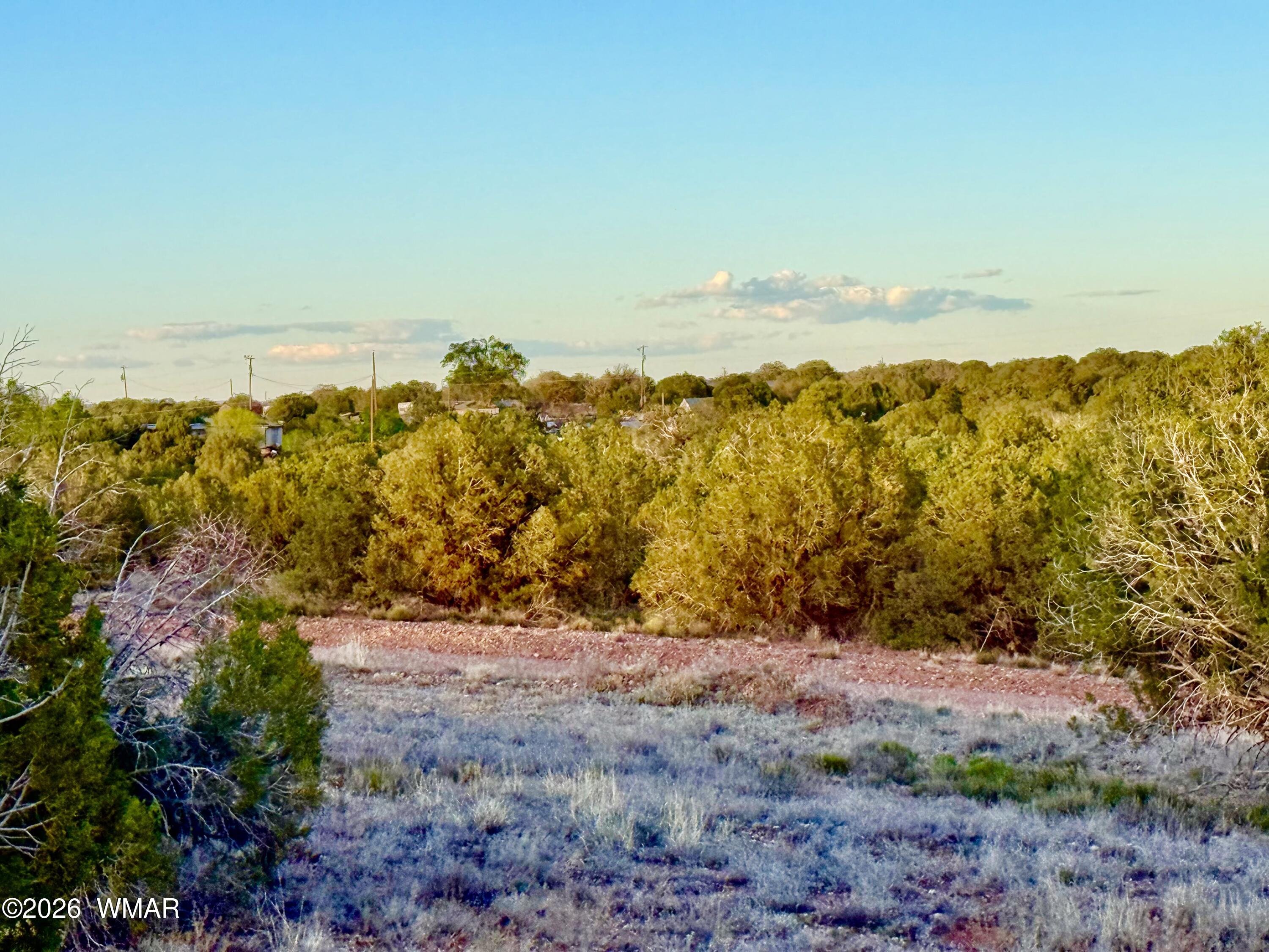 4428 Colt Road Snowflake, AZ 85937 - Photo 7 of 22 IMG_6177