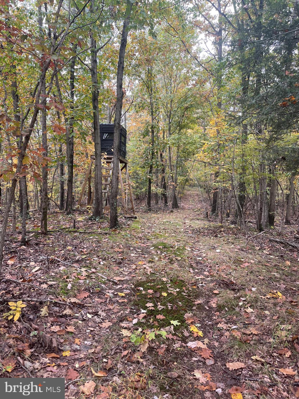 0 Shuler Road Shermans Dale, PA 17090 - Photo 11 of 13 Gallery Image 11