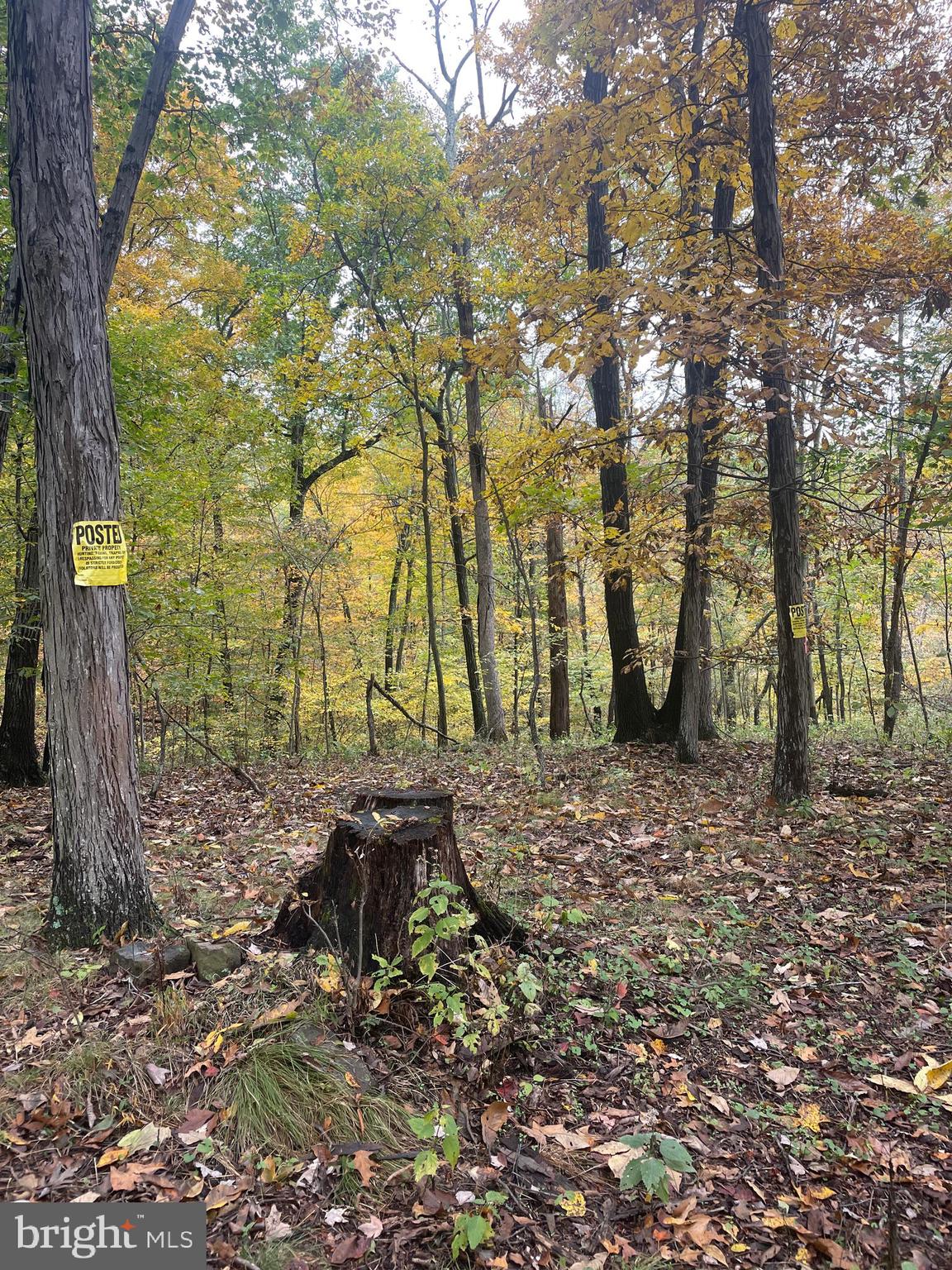0 Shuler Road Shermans Dale, PA 17090 - Photo 12 of 13 Gallery Image 12
