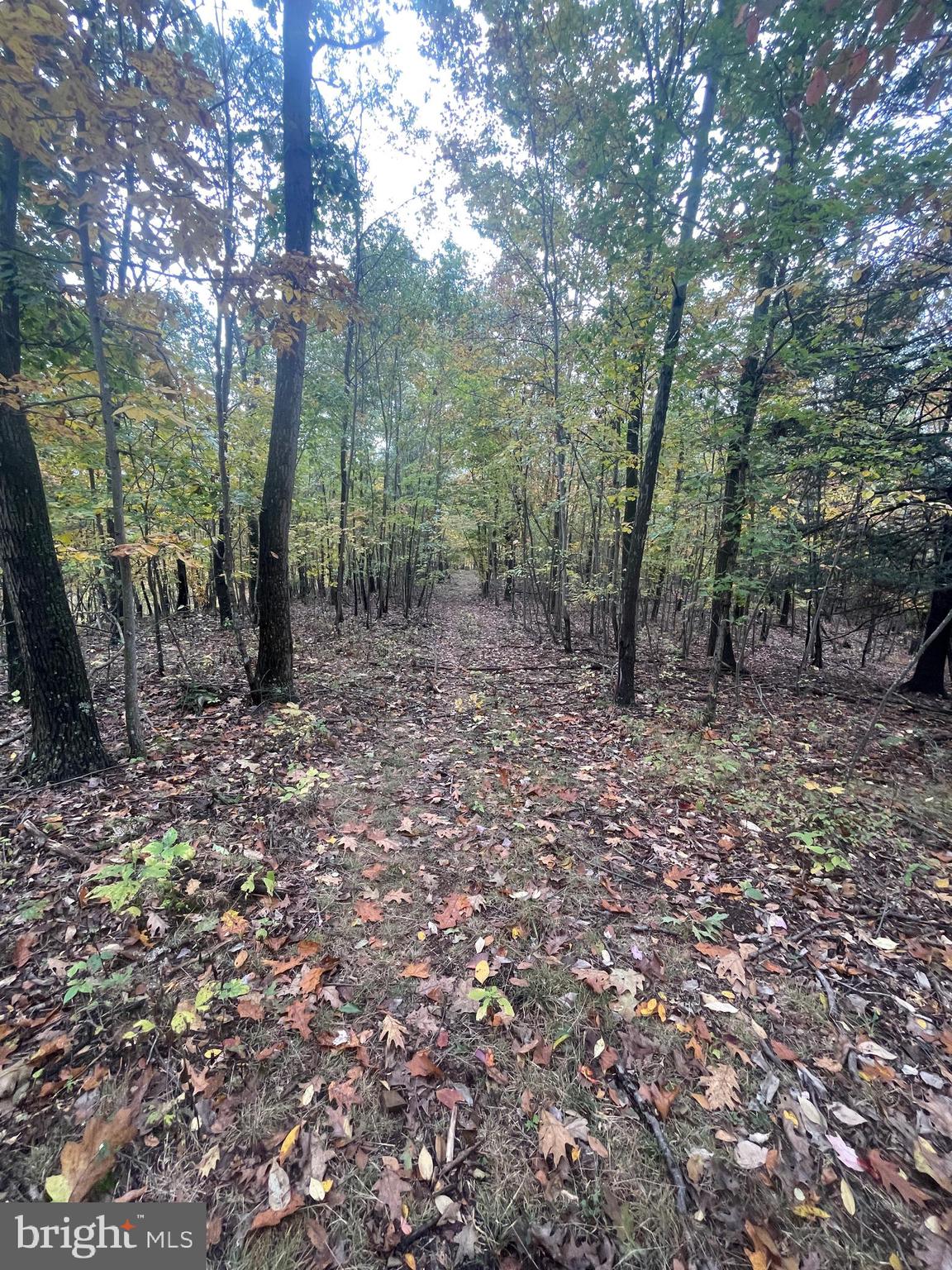 0 Shuler Road Shermans Dale, PA 17090 - Photo 13 of 13 Gallery Image 13