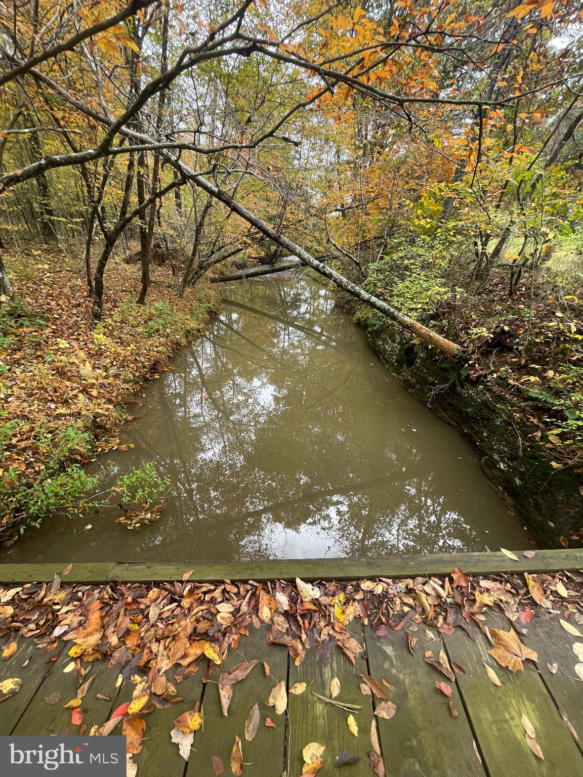 0 Shuler Road Shermans Dale, PA 17090 - Photo 5 of 13 Gallery Image 5