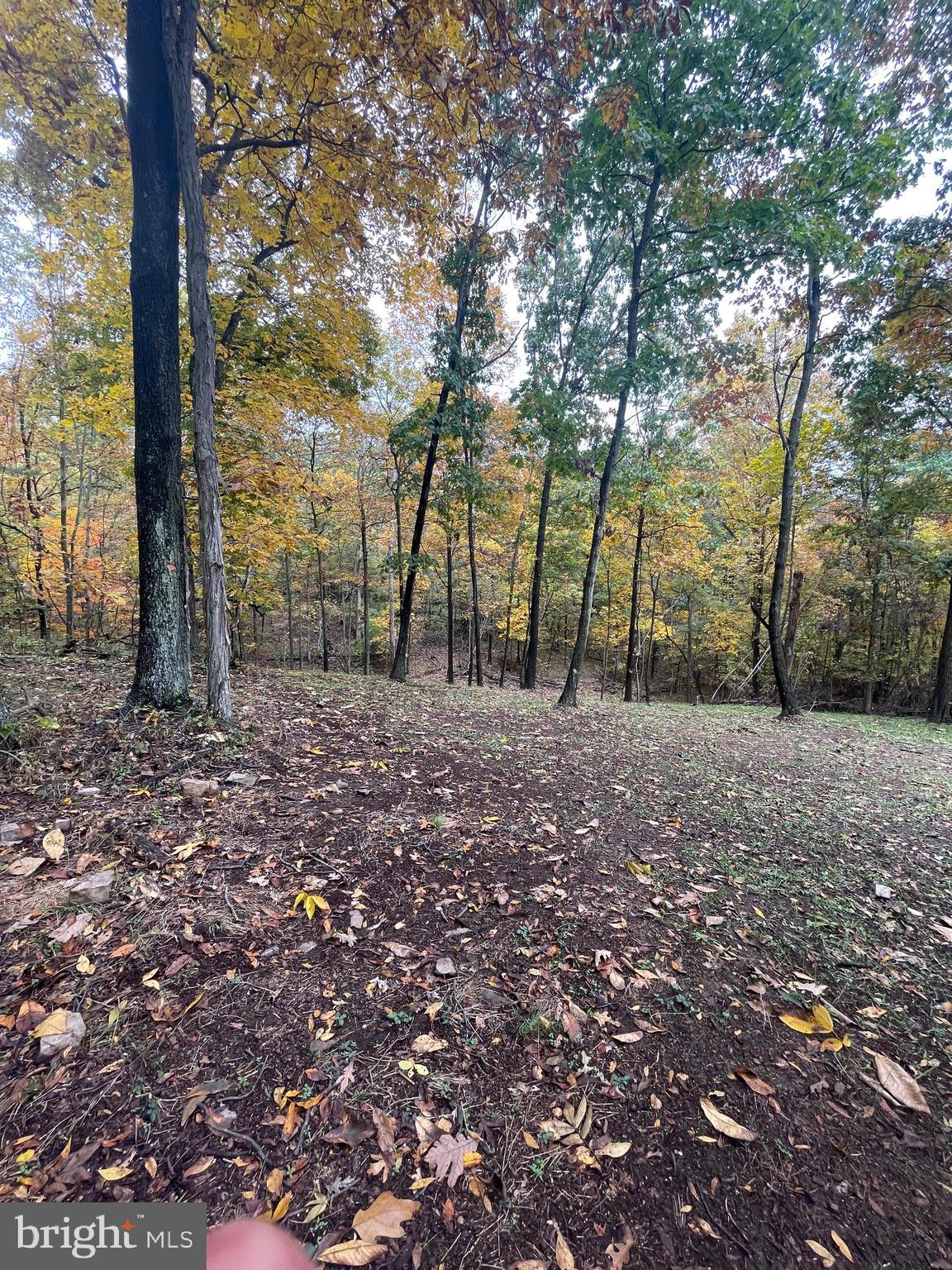 0 Shuler Road Shermans Dale, PA 17090 - Photo 8 of 13 Gallery Image 8