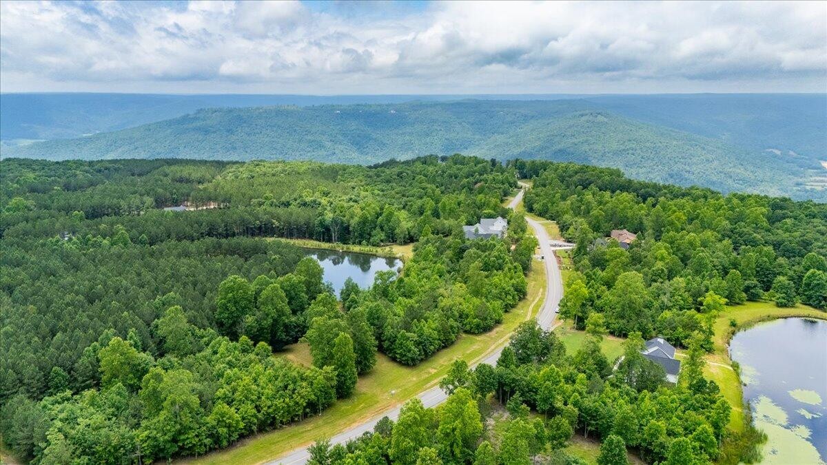 0 Cherokee Path Jasper, TN 37347 - Photo 12 of 31 an aerial view of residential houses with outdoor space and trees