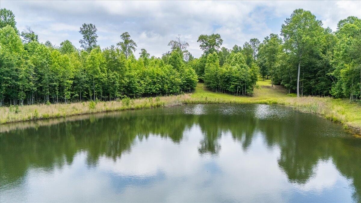 0 Cherokee Path Jasper, TN 37347 - Photo 13 of 31 a view of a lake view