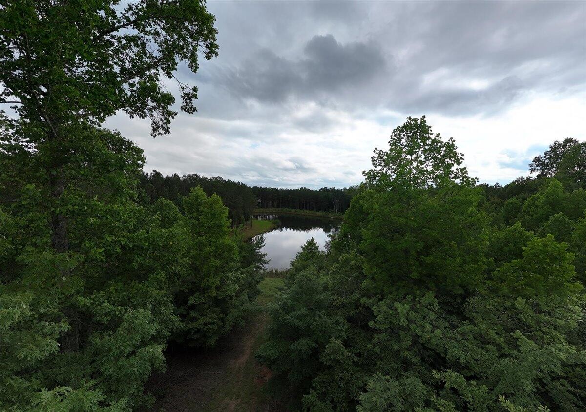 0 Cherokee Path Jasper, TN 37347 - Photo 14 of 31 a view of a lake in middle of forest