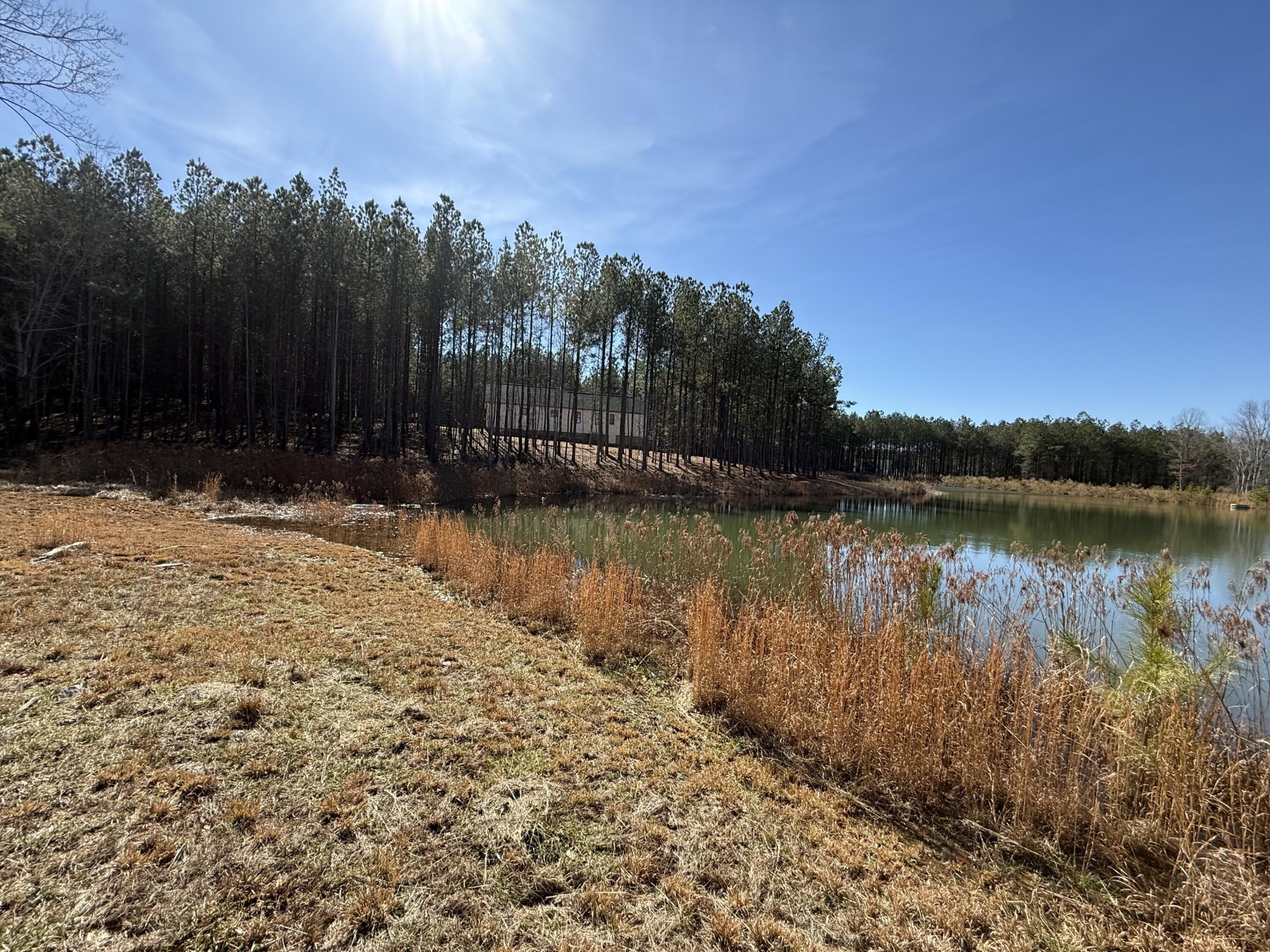 0 Cherokee Path Jasper, TN 37347 - Photo 17 of 31 a view of lake with green space