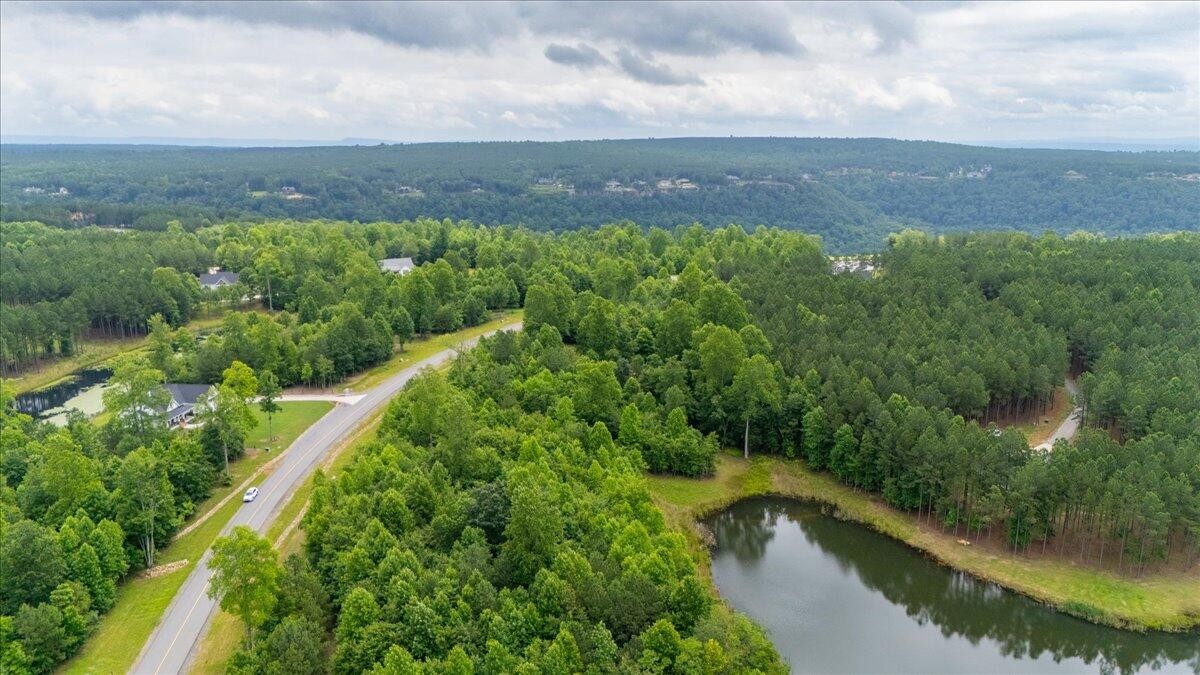 0 Cherokee Path Jasper, TN 37347 - Photo 8 of 31 a view of a lake with a yard and large trees