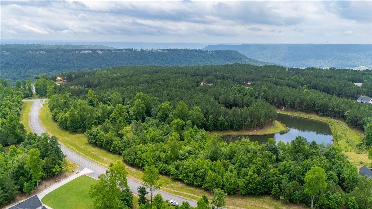 0 Cherokee Path Jasper, TN 37347 - Photo 9 of 31 a view of a lake with a city