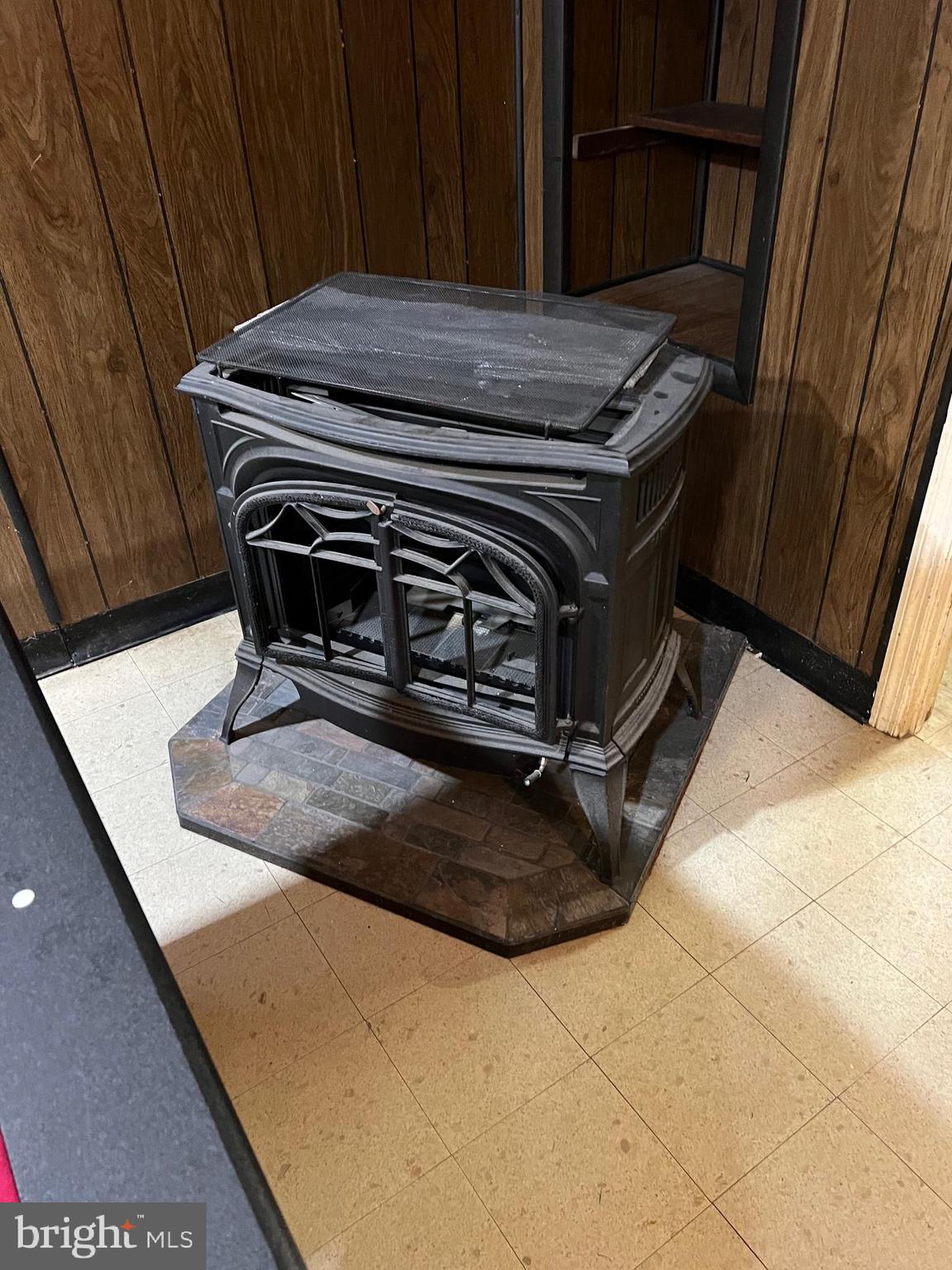 201 Cambridge Road Camden, DE 19934 - Photo 43 of 43 Cast Iron Stove